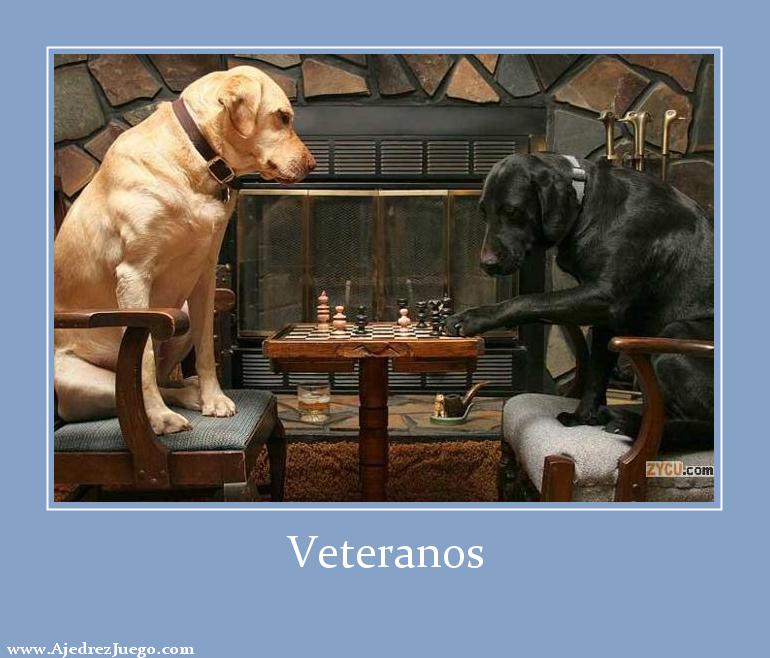 Veteranos de ajedrez
