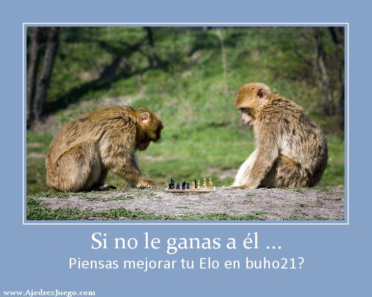 Elo ajedrez