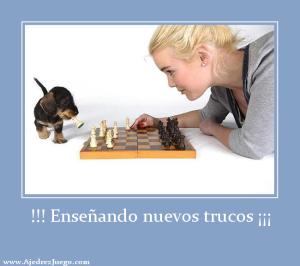 Tácticas ajedrez