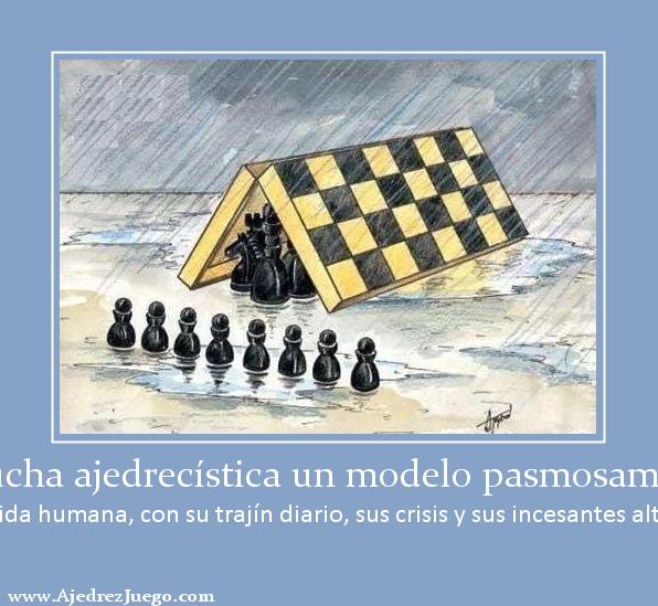 Veo en la lucha ajedrecística un modelo pasmosamente exacto  de la vida humana, con su trajín diario, sus crisis y sus incesantes altibajos.