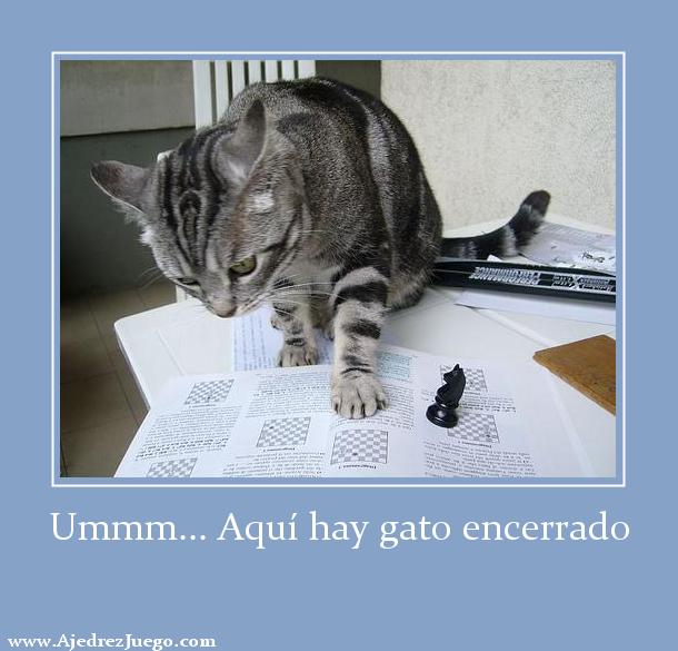 Revistas de ajedrez