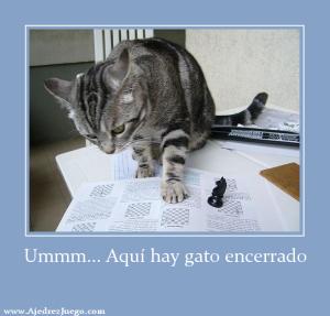 Revistas de ajedrez