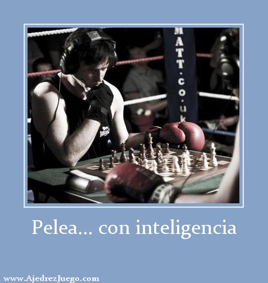 Lucha ajedrez