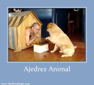 Ajedrez Animal