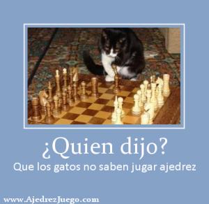 Ajedrez de ataque
